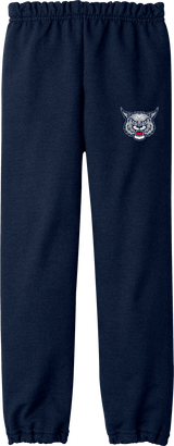 CT Bobcats Youth Heavy Blend Sweatpant