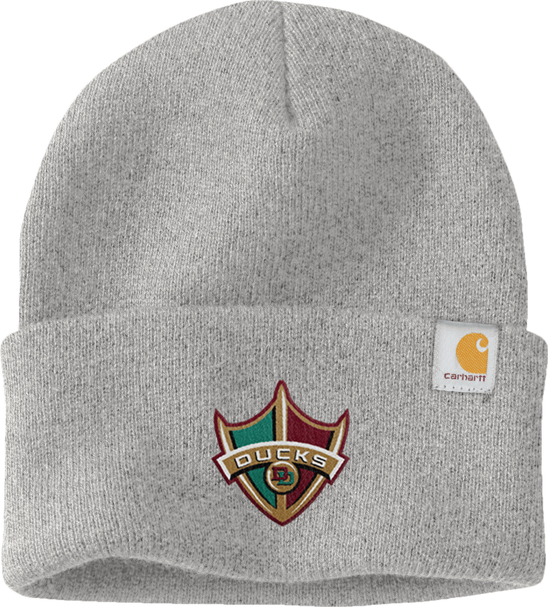 Delaware Ducks Carhartt Watch Cap 2.0