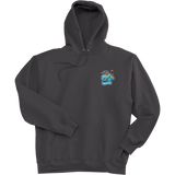 Atlantic City Seals Ultimate Cotton - Pullover Hooded Sweatshirt