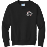 Allegheny Badgers Youth Core Fleece Crewneck Sweatshirt