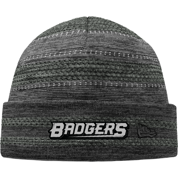 Allegheny Badgers New Era On-Field Knit Beanie